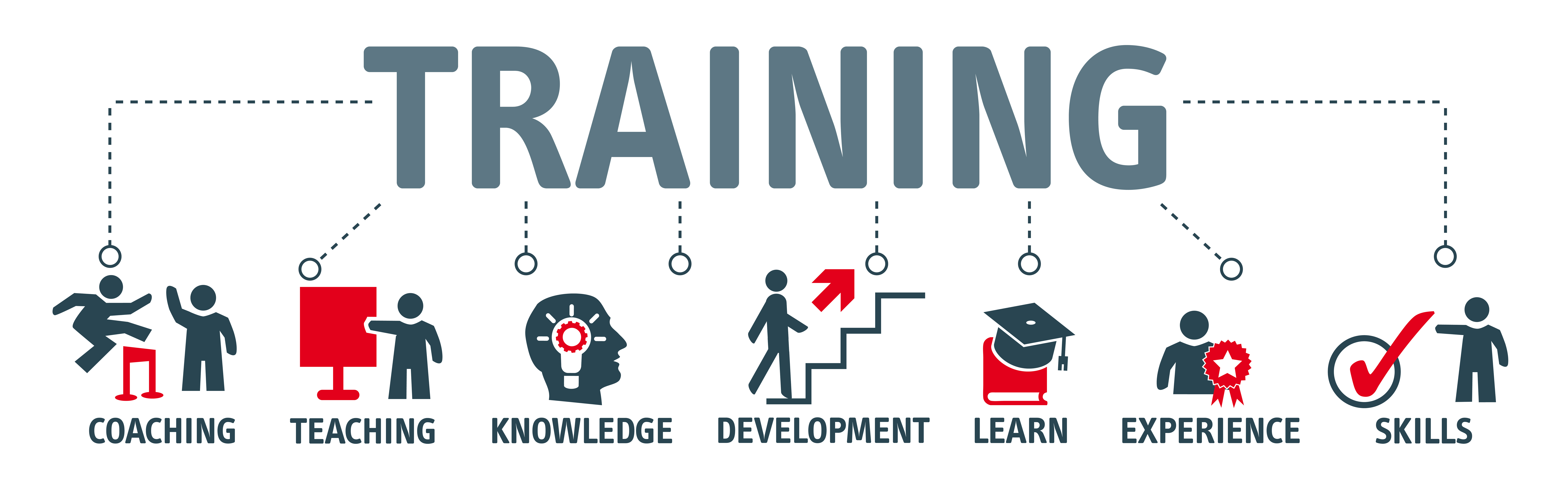 job training education definition